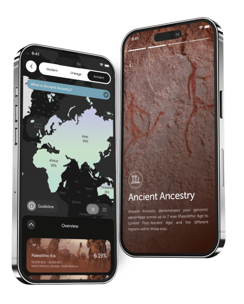 report ancestry preview